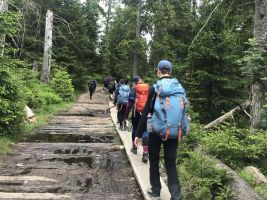 trekking-steg